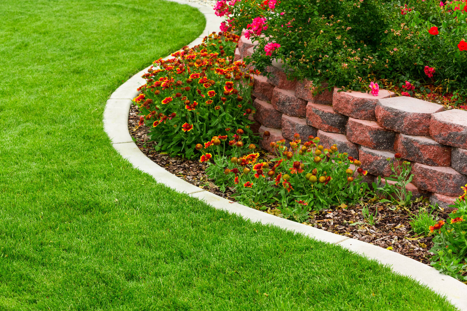 DeClue & Sons Tree Care, Inc. logo