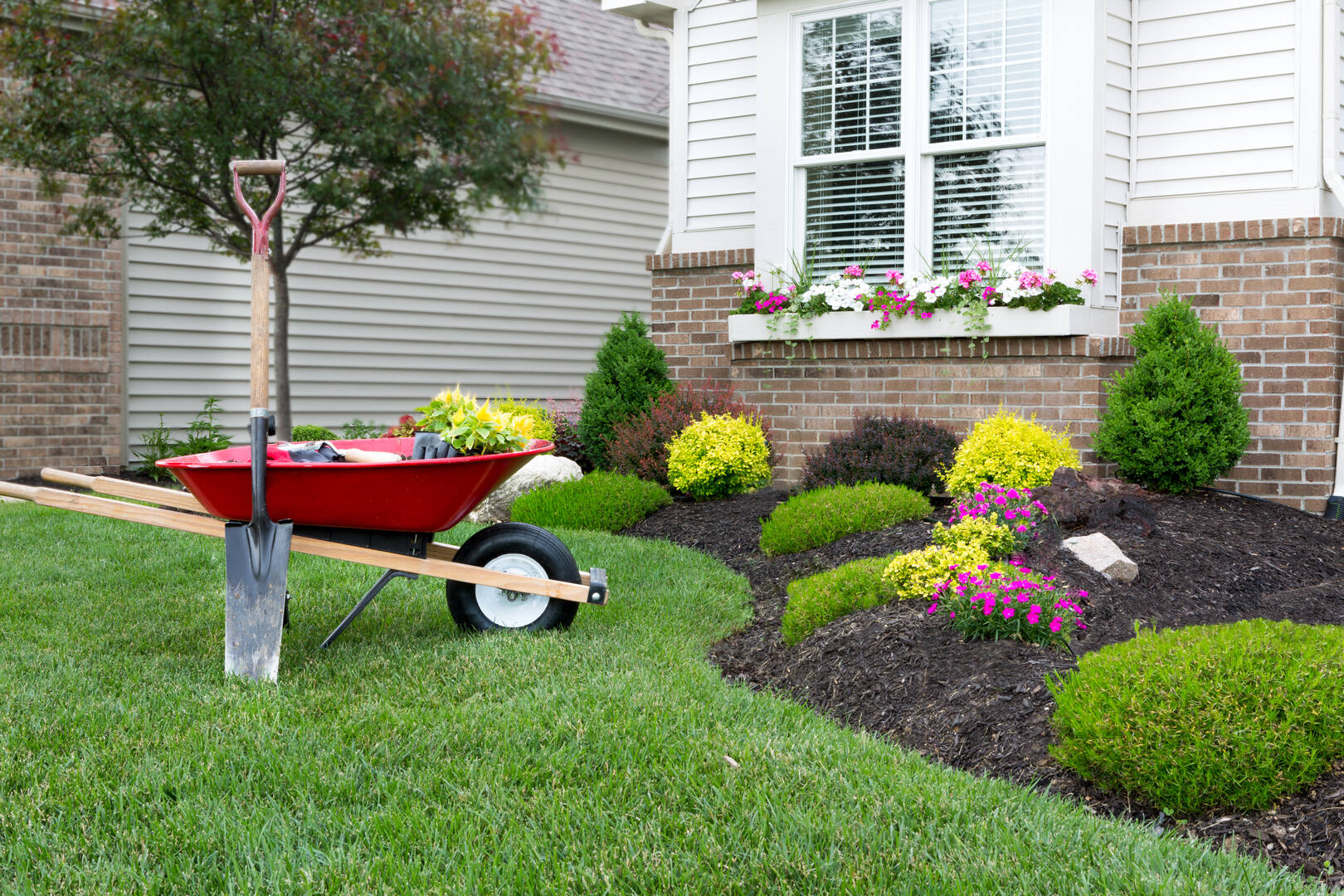 Pointe Pest Control Trusted Resource For People Throughout The Area, Providing Safe logo