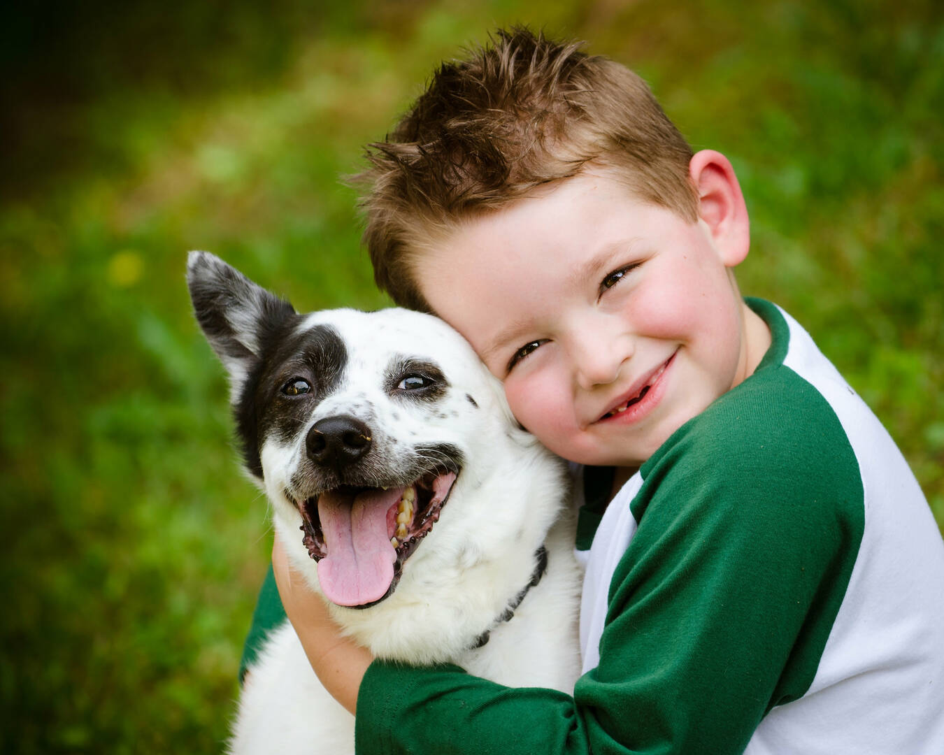 Acres Mill Veterinary Clinic logo